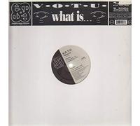 Voice of the Underground - What Is ? [Vinyl Maxi-Single]