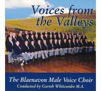 Voices from the Valleys