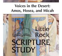 Voices in the Desert: Amos, Hosea, Micah: 10 Sessions [DVD]