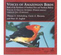 Voices of Amazonian Birds, Vol. 3: Ground Antbirds Through Jays