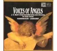 Voices of Angels