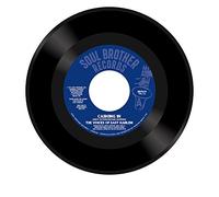 Voices of East Harlem the - Cashing In / Take A Stand [Vinilo]