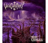 Voidceremony - Threads Of Unknowing