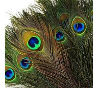 VoilaLove - Plumas naturales de pavo real con ojos de plumas de cola de pavo real (40-50 cm) para la fiesta de bodas de arte y artesanía en casa decoraciones (50)