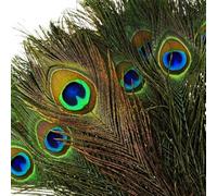 VoilaLove - Plumas naturales de pavo real con ojos de plumas de cola de pavo real para la fiesta de bodas Arts and Crafts Home Decorations (50, 16-20 pulgadas) y 40-50 cm