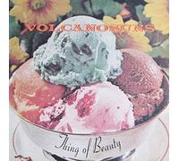 VOLCANO SUNS - Thing of Beauty [Vinyl]