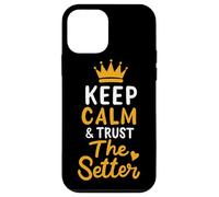 Voleibol Keep Calm And Trust The Setter Jugador de Voleibol Carcasa para iPhone 12 mini