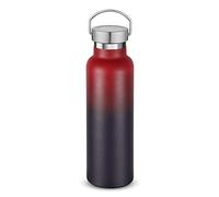 Volhoply 600ml Botellas Agua de Acero Inoxidable,Botella de Doble Pared Aislada al Vacío de 20 onzas con Tapa de Asa- Sin BPA,Termo de Metal a Prueba de Fugas para la Escuela,Excursionistas,Regalo