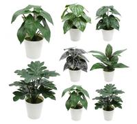 volumoon 6 Piezas Plantas Artificiales de 26 cm, Plantas Plásticos, Plantas Falsa, Pequeñas Plantas Verdes en Maceta, Artificiales Macetas, Plantas Artificiales Decorativas para Casa Baño Oficina