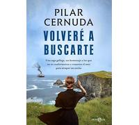 Volveré a buscarte (Novela histórica)