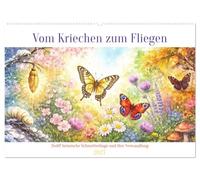 Vom Kriechen zum Fliegen (Wandkalender 2027 DIN A2 quer), CALVENDO Monatskalender: Zwölf heimische Schmetterlinge und ihre Verwandlung