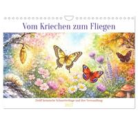 Vom Kriechen zum Fliegen (Wandkalender 2027 DIN A4 quer), CALVENDO Monatskalende