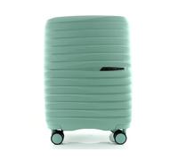 Redolz Essentials 18 4 ruedas Trolley 66 cm Con asa expansible plateado