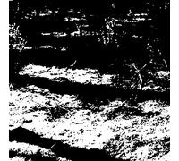 Von Grall - The Transformation Is Conformal [Vinilo]