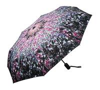 VON LILIENFELD Paraguas Bolsillo Plegable Apertura y Cierre Automático Resistente al Viento Ligero Estable Compacto Floral Arte Claude Monet: El jardín