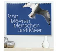 Von Möwen, Menschen und Meer (hochwertiger Premium Wandkalender 2026 DIN A2 quer), Kunstdruck in Hochglanz: Der Mensch und die Möwe - eine immer wieder spannende Geschichte