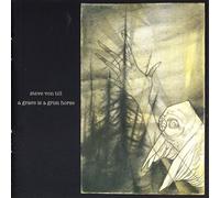 Von Till Steve - A Grave Is A Grim Horse