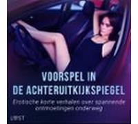 Voorspel In De Achteruitkijkspiegel: Erotische Korte Verhalen Over Spannende Ontmoetingen Onderweg