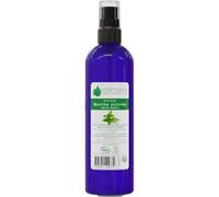Voshuiles Hidrolato Menta Piperita Cosmos 200 ml