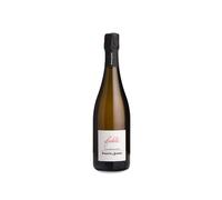 Vouette & Sorbée Fidèle Brut Nature Magnum