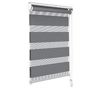 VOUNOT® Estores Enrollables de Doble Capa Noche y Día, Persianas Enrollables Interior para Ventana, Translúcido y Oscurecido, Color Gris, 50 x 150 cm