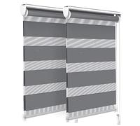 VOUNOT® Juego de 2 Estores Enrollables de Doble Capa Noche y Día, Persianas Enrollables Interior para Ventana, Translúcido y Oscurecido, Color Gris, 50 x 150 cm