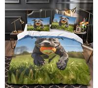 VOXYTMLWG Tres Piezas Microfibra Playful Perro Running Fuego Fundas Edredón Impresión 3D Funda Almohada Suave Outdoor Pet Activity Juego Fundas Edredón for Adolescentes Double（200x200cm）