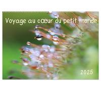 Voyage au coeur du petit monde (Calendrier mural 2025 DIN A2 vertical), CALVENDO calendrier mensuel: Découvrez chaque mois un univers miniature ... l'invisible beauté du monde qui nous entoure.