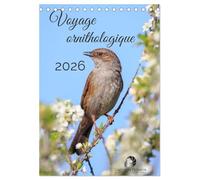 Voyage ornithologique (Calendrier de bureau 2026 DIN A5 horizontal), CALVENDO calendrier mensuel: Un calendrier fascinant qui vous fait explorer, mois ... la diversité des oiseaux à travers le monde.