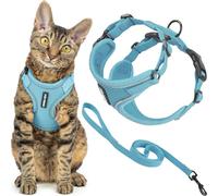 Voyager Best Pet Supplies - Juego de arnés y Correa para Gato a Prueba de Escapes, con Costuras Reflectantes, Mango de Neopreno de 5 pies, soporta Gatos pequeños, medianos y Grandes, Gatitos para