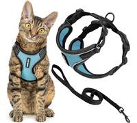 Voyager Best Pet Supplies - Juego de arnés y Correa para Gato a Prueba de Escapes, con Costuras Reflectantes, Mango de Neopreno de 1,5 m, soporta Gatos pequeños, medianos y Grandes, Gatitos para