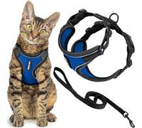 Voyager Best Pet Supplies - Juego de arnés y Correa para Gato a Prueba de Escapes, con Costuras Reflectantes, Mango de Neopreno de 5 pies, soporta Gatos pequeños, medianos y Grandes, Gatitos para