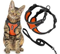 Voyager Best Pet Supplies - Juego de arnés y Correa para Gato a Prueba de Escapes, con Costuras Reflectantes, Mango de Neopreno de 5 pies, soporta Gatos pequeños, medianos y Grandes, Gatitos para