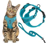 Voyager Best Pet Supplies - Juego de arnés y Correa para Gato a Prueba de Escapes, con Costuras Reflectantes, Mango de Neopreno de 5 pies, soporta Gatos pequeños, medianos y Grandes, Gatitos para
