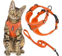 Voyager Best Pet Supplies - Juego de arnés y Correa para Gatos a Prueba de Escapes, con Costuras Reflectantes, Mango de Neopreno de 5 pies, soporta Gatos pequeños, medianos y Grandes, Gatitos para