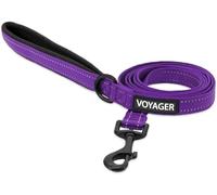 Voyager Correa para Perros de 1,5 m, Reflectante, Atractiva, Resistente, con Mango de Neopreno, para pasear, Correr y Entrenar, Perros de Todos los tamaños, Color Morado, Talla S