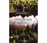 Voyager dans l'invisible: Techniques chamaniques de l'imagination