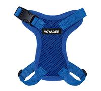 Voyager Step-in Lock - Arnés Ajustable para Gatos Conjunto de Correa para Gatos con Mango de Neopreno de 1,5 m. Compatible con Gatos de Razas pequeñas, Medianas y Grandes de Best Pet Supplies - Azul