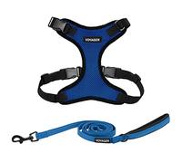 Voyager Step-in Lock - Juego de arnés para Perro con Correa Reflectante para Perro, con Mango de Neopreno, 1.5 m, para Gatos y Cachorros de Raza pequeña, Mediana y Grande, Color Azul Rey/Borde Negro,