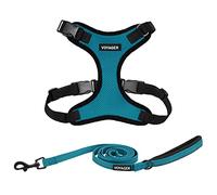 Voyager Step-in Lock - Juego de arnés para Perro con Correa Reflectante para Perro, con Mango de Neopreno, 1.5 m, para Gatos y Cachorros de Raza pequeña, Mediana y Grande, Color Turquesa/Borde Negro,