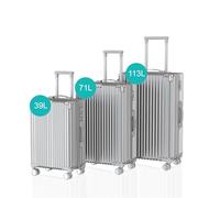 Voyagoux Juego Maletas de Viaje 3 Piezas - 39L,71L & 113L, Maletas de Viaje, con Cerradura TSA, ABS, 4 Ruedas de 360°, Suitcase, Maleta Robusta y Ligera, Plateado