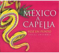 Voz en punto - México a capella