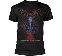VPJGFL Dismember 'Like an Ever Flowing Stream' (Black) Mens T-Shirt Black(Large)