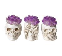 VPWJWFKOVI Three Wise Skull with Amethyst Crystal Flower - Decor for Home, Office, and Spiritual