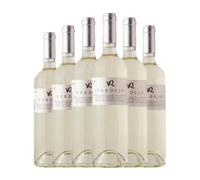 VQ Verdejo Vino de la Tierra de Castilla Joven 75 cl Vino blanco (Caja de 6 Botellas de 75 cl)