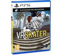 VR Skater