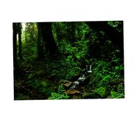 vreplrse Imagen llamativa de Fondo para pecera. Póster 3D para Fondo de Acuario Que CREA un Animado. Decoraciones Pared para pecera. Adhesivo, Verde Hierba, 61x41cm