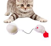 Vriusi Interactive Cat Toys Ball, Automatic Rolling Ball, Indoor Cat Toy, Intelligent Cat Toy, LED Lights, Rechargeable Smart Cat Ball, Teasing Cat Ball, Kittens Toy, Fun Cat Toys, Pet Activity Ball