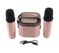Vroomoto Máquina de Karaoke Altavoz PA Portátil Micrófono Inalámbrico BT 5.0 Reducción de Ruido Luces RGB 10 W Tarjeta TF Tipo C para Reuniones (Máquina Karaoke B y 2 micrófonos)