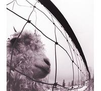 Pearl Jam - Vs. [Vinilo]